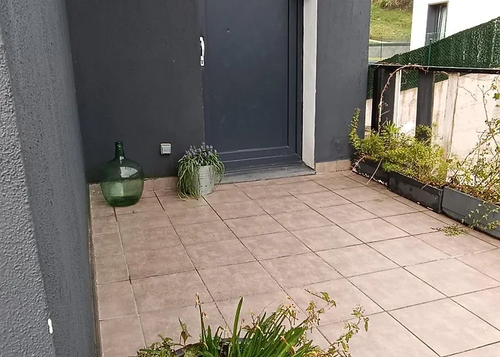 Plena Naturaleza En Pleno San Sebastián