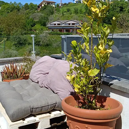Plena Naturaleza En Pleno * San Sebastián