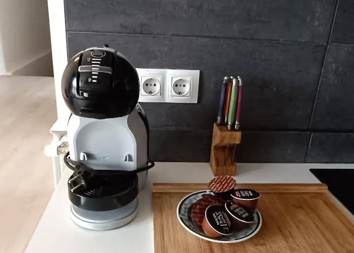 Plena Naturaleza En Pleno * San Sebastian