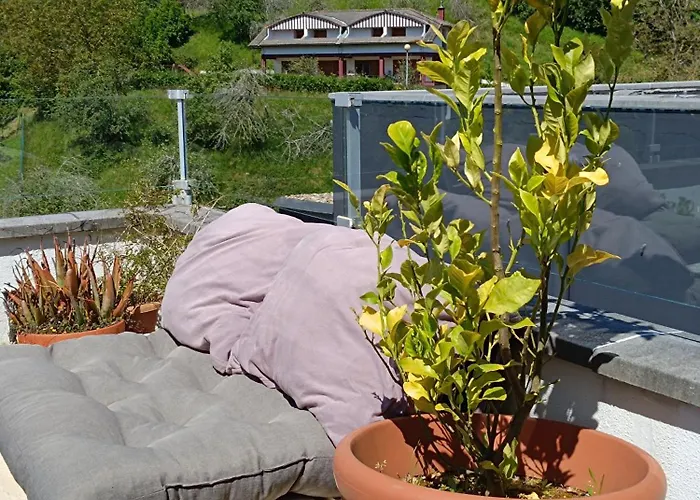 Plena Naturaleza En Pleno * Сан-Себастьян